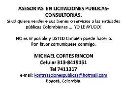 asesorias licitacion publica -contratos publicos. Bogota, Colombia