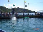 TOUR COSTA ATLANTICA 6 DIAS Bogota, Clombia