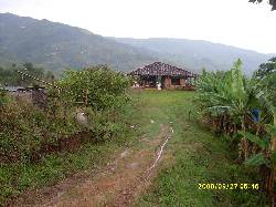 Vendo Finca en San Jos Caldas Manizales, Colombia