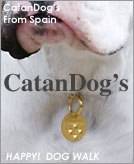 Perros y Gatos Felices San Juan, Puerto Rico