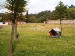 oferta lote en chia la valvanera la fonqueta cucuta, colombia