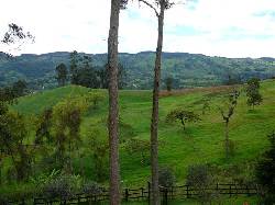 Excelente Finca via a Silvania Bogot, Colombia