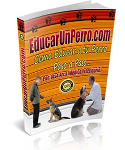 Educa a Tu Perro Armenia, Colombia