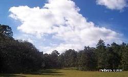 Vendo Finca con bosque conservado de Pino Retalhuelu, Guatemala