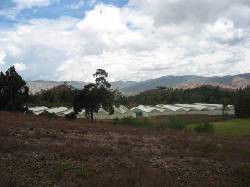 VENDO FINCA TECNIFICADA EN VILLA DE LEYVA Villa de Leyva, Colombia