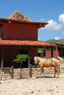 Paseos a Caballo en la Isla de Margarita Isla de Margarita, Venezuela