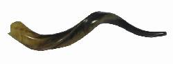 SHOFAR COLOMBIA DESDE 300.000 PESOS EN ADELANTE MEDELLIN, COLOMBIA