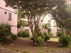 ARRIENDO APARTAMENTO CONJUNTO ENCINAR CALI, COLOMBIA