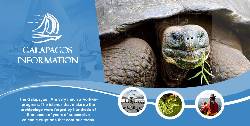 Galapagos Cruises Quito, Ecuador