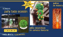 Adornos para toda ocasin Bogota, Colombia