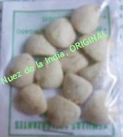 distribuyo semillas de la india adelazante cumdinamarca, colombia