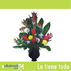 HERMOSOS ARREGLOS EN GOLIATMA.COM Bogota, Colombia