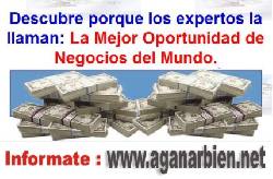NEGOCIO RENTABLE DESDE CASA VIA INTERNET Madrid, Espaa