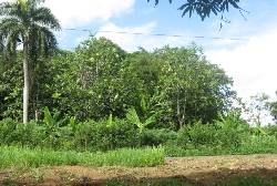 Bayamon y Toa Alta, PR Bayamn, Puerto Rico
