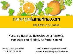 Venta de naranjas Sagra , Espaa