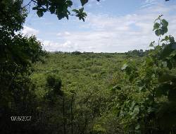 Vendo terreno en San Carlos, Panam� PANAMA, PANAMA