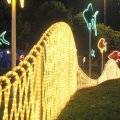 Recorrido por la iluminacin Navidea Bogotana $20 Bogota, Colombia