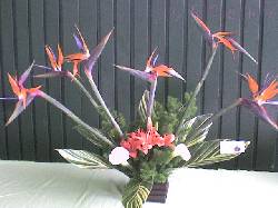 ARREGLOS FLORALES PARA TODA OCASION  cali, colombia