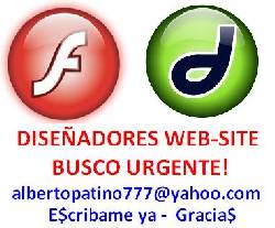 BUSCO DISEADOR DE PAGINAS WEB CON EXPERIENCIA OK cali, colombia