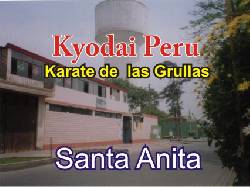 Se requiere profesores de karate, natacion, danzas santa anita, peru