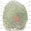 software Biometrico - Huella Cali, Colombia