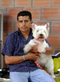 VENDO CACHORROS DE VARIAS RAZAS POPAYAN, colombia