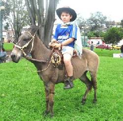 MACHO ROMO BOGOTA, COLOMBIA