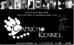 web caprichokennel.com........competencia desleal medellin, colombia