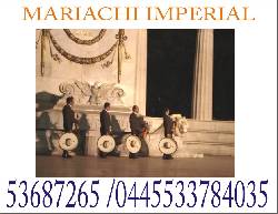 mariachis en azcapotzalco IMPERIAL para fiesta 53687265 mexico, mexico