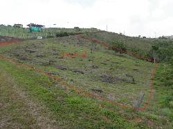 VENDO LOTE CONDOMINIO EL BOSQUE Cali, Colombia