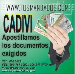 Cadivi Bogot, Colombia