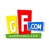 Ganar en Forex | www.ganoforex.com Bogota, Colombia