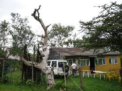 Se vende o se permuta casafinca en victoria caldas Bogota, Colombia