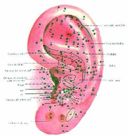 PRIMER CURSO DE AURICULOTERAPIA ON LINE cordoba, argentina