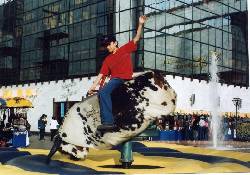 VENDO TORO MECANICO RODEO AMERICANO Bogot, Colombia