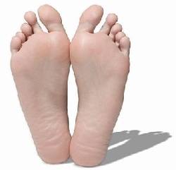 VENPERMUTO TAPETES PARA REFLEXOLOGIA bogota, Colombia