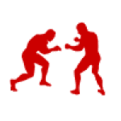 artes marciales mixtas bogota Bogota, Colombia