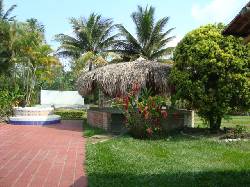 Se vende POR LOTES  la Finca en Rozo cali, colombia