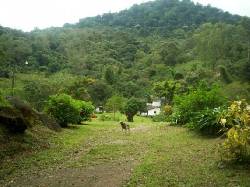 VENTA DE FINCA EN CALI SUR PANCE DA AGUA MANANTIAL Cali, Colombia