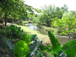 Terrenos en una privada reserva natural, Leon-Nic. Len, Nicaragua