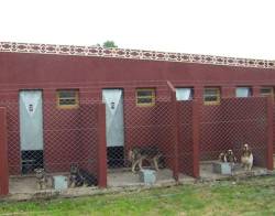 MAR DEL PLTA , GUARDERIA CANINA Y FELINA MODELO BUENOS AIRES, ARGENTINA