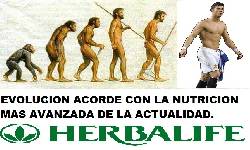 Nutre tus Celulas! Vive sano ! cali, colombia