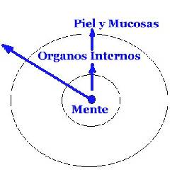 Dermatologo en Lima Peru - dermatologia natural ho Lima, Per