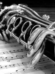 clases de clarinete bogota, colombia