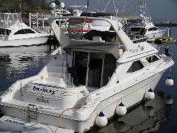 VENTA US$190,000 SEARAY BRIDGE 44 panama, panama