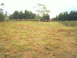 LOTE CAMPESTRE EN LA CUMBRE A TAN SOLO $16500M2 cali, colombia