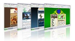 DISE�O WEB-POSICIONAMIENTO-HOSTING-DOMINIO Lima, Per�