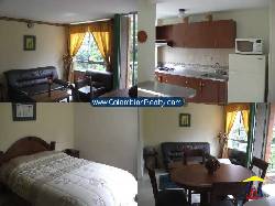 Apartamentos Amoblados Medellin (Poblado) Cod.555 Medellin, Colombia