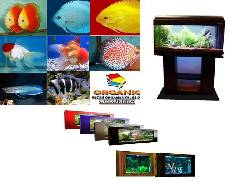VENTA ACUARIOS PLASMA Bogot, Colombia