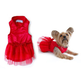 ropa para sus mascota maracay, venezuela